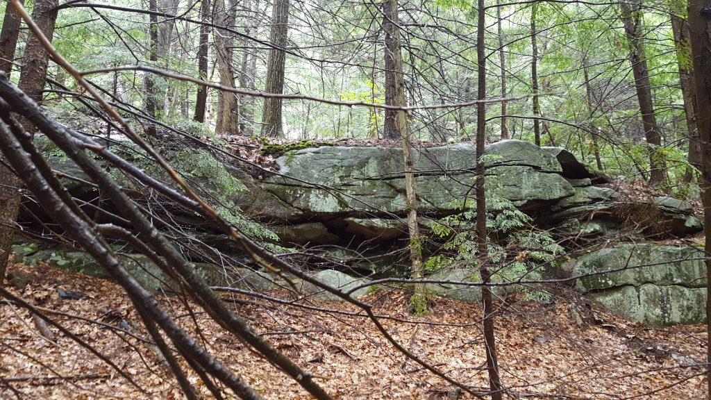 Monadnock-005-2018-06-04 Rock Ledges on Tippin Rock Trail